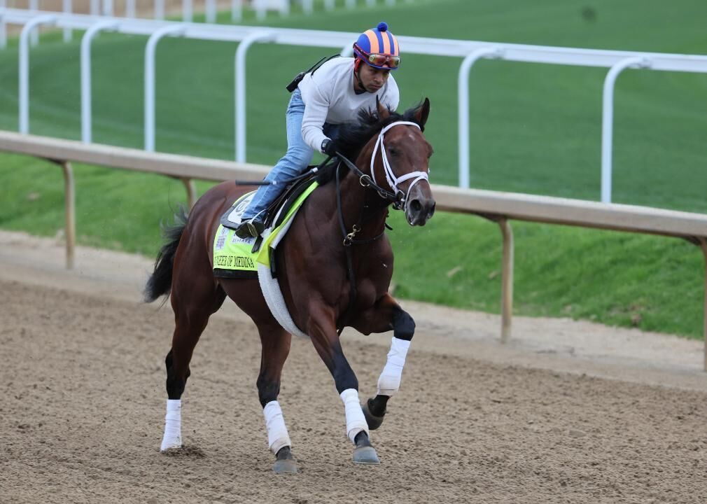 #14. Pioneer Of Medina (tie)